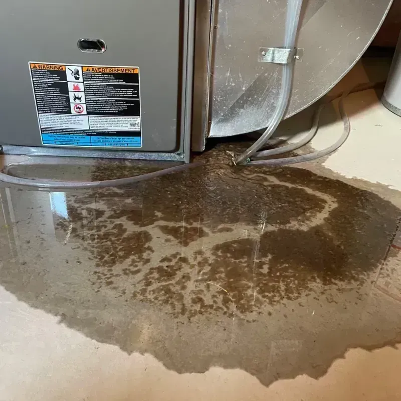 Appliance Leak Cleanup in Oswego County, NY